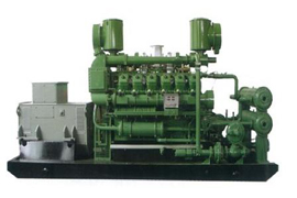 Biogas Generator Set