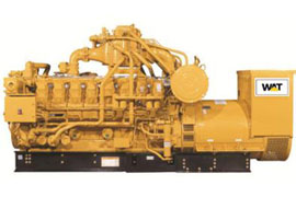 Watt natural gas generator set