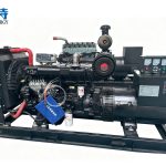 Ricardo Diesel Generator Set